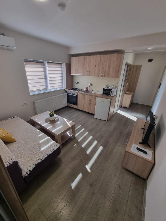 City Premium Apartments Temesvár Kültér fotó