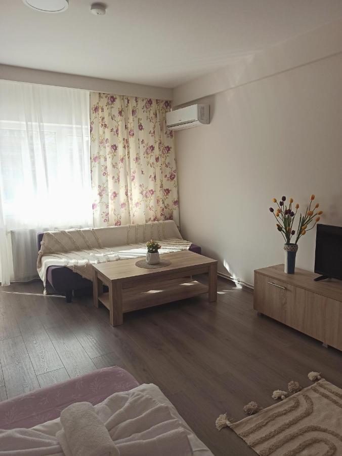 City Premium Apartments Temesvár Kültér fotó