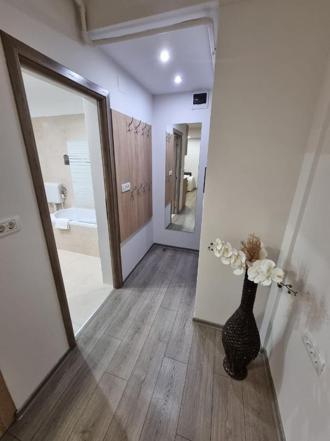 City Premium Apartments Temesvár Kültér fotó