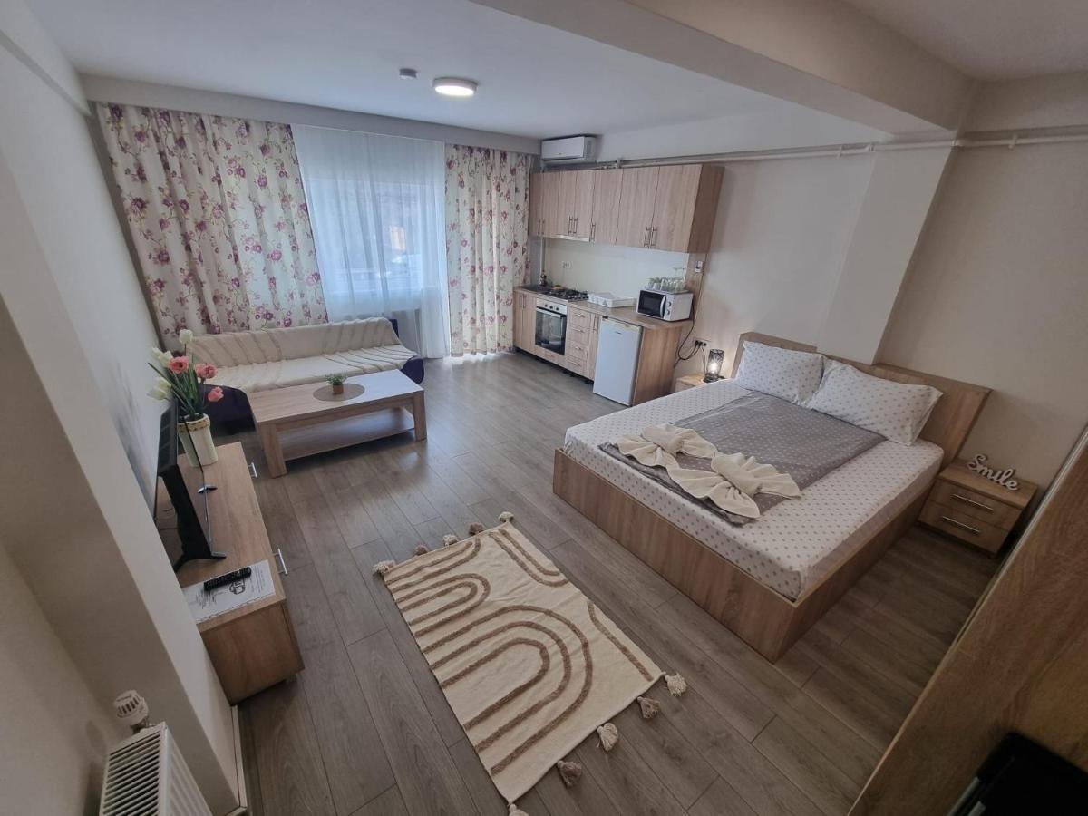City Premium Apartments Temesvár Kültér fotó