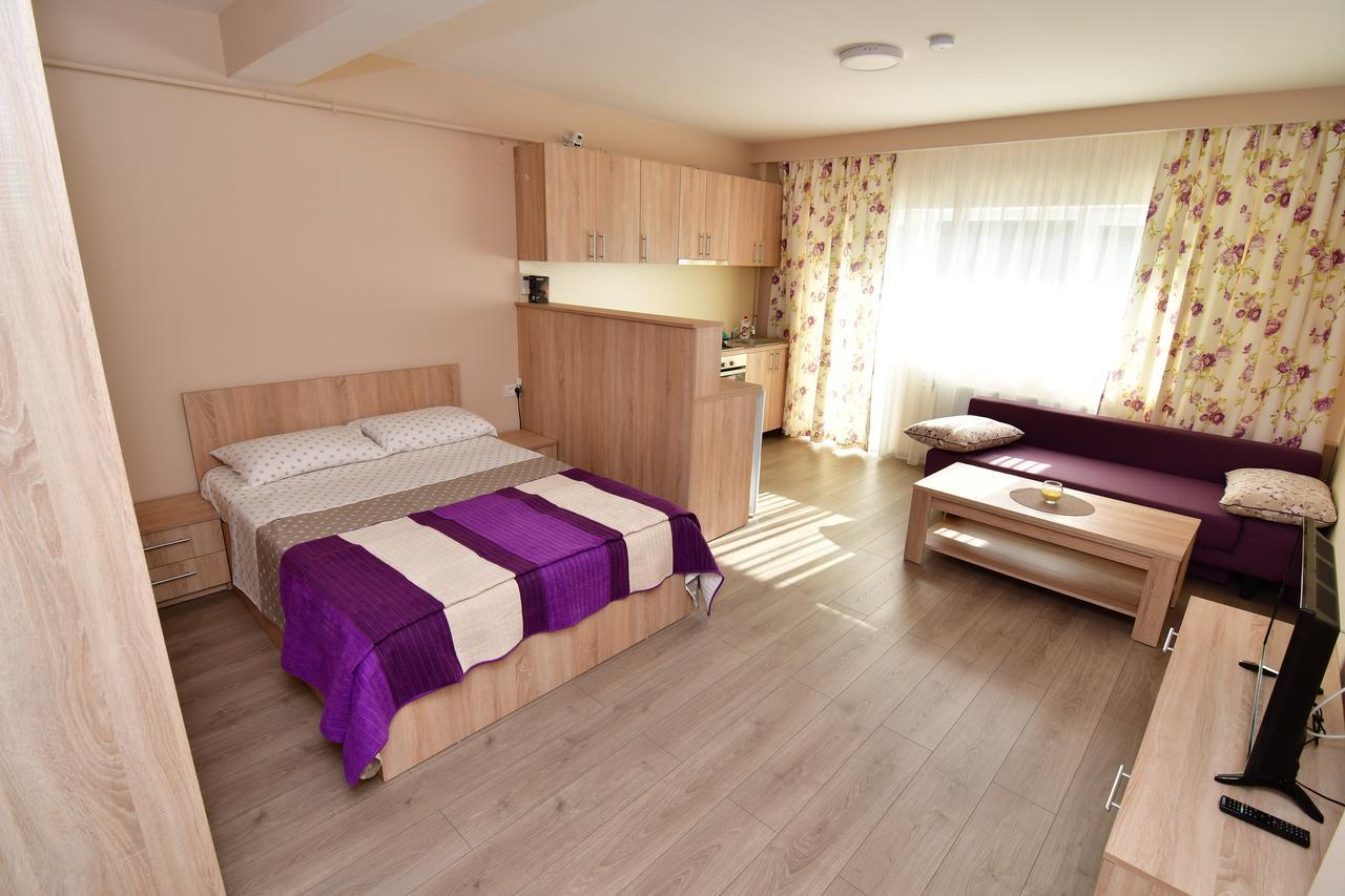 City Premium Apartments Temesvár Kültér fotó